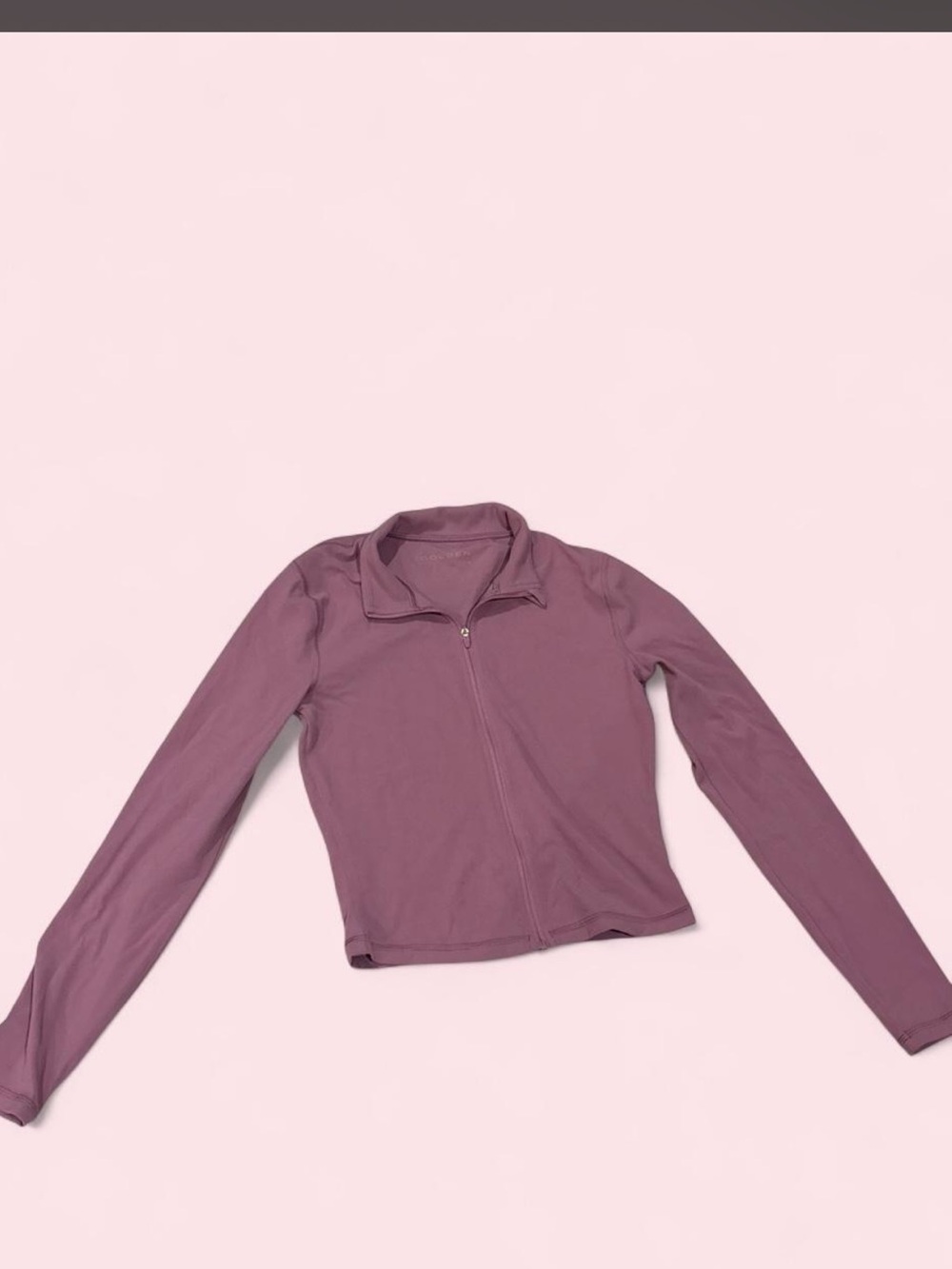 Aritzia Mauve Full-Zip jacket